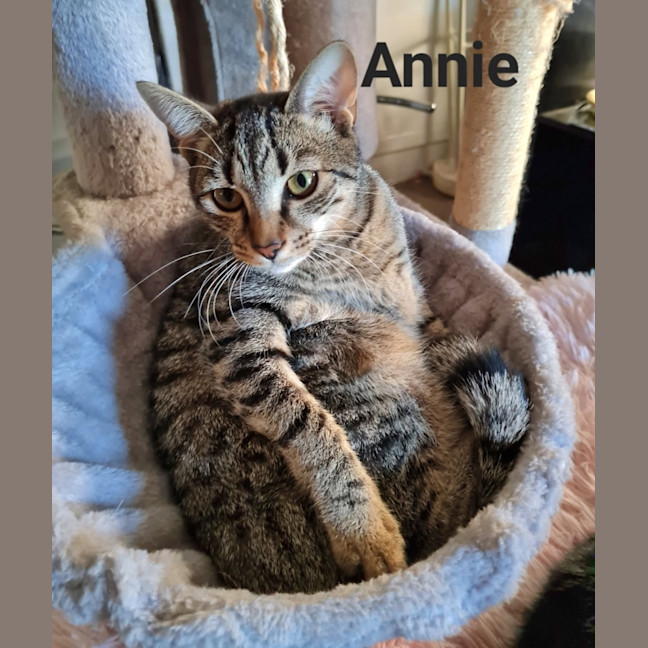 Photo of Annie