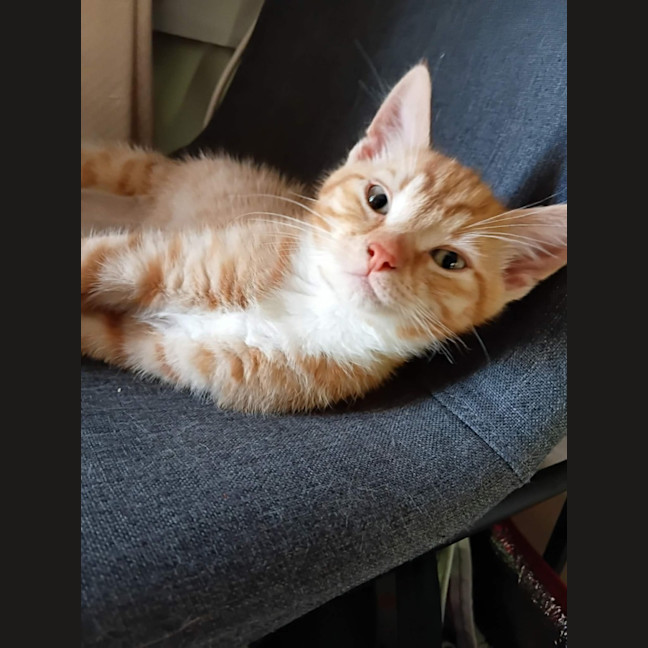 Photo of Buddy & Squeak