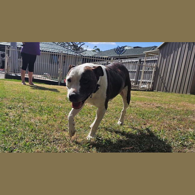 Photo of Blaze Newhaven