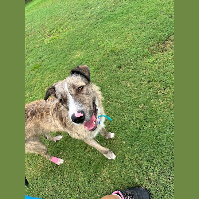 Photo of Turbo