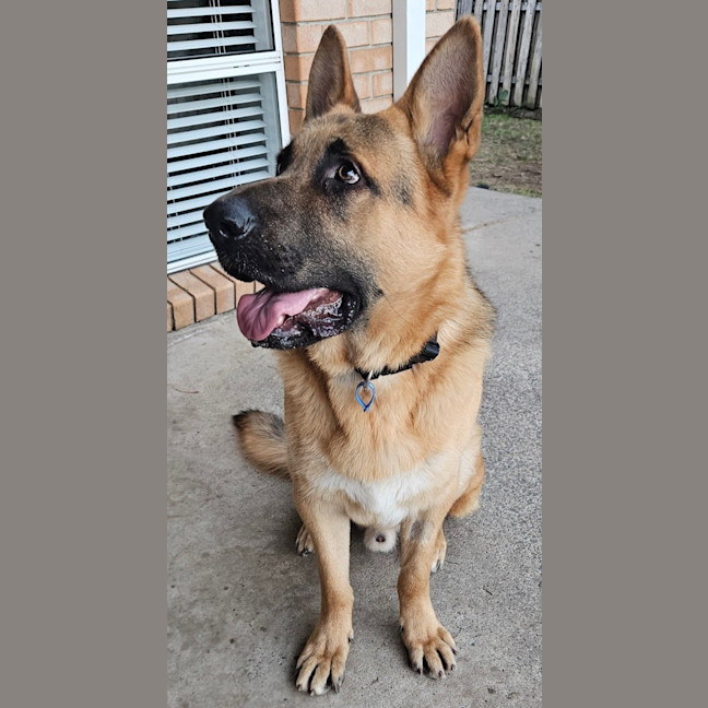 Photo of Jericho