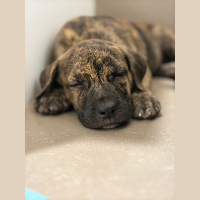 Photo of Wally