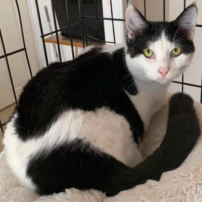 Photo of 9159   Hershey