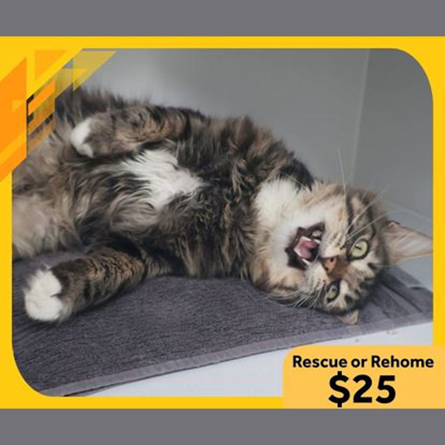 Photo of Mr. Thompson 