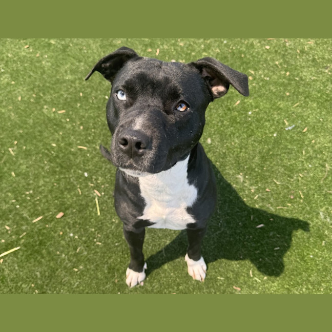 Photo of Brayden Imp 2898