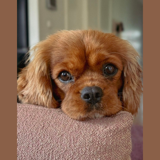 Photo of Jilly