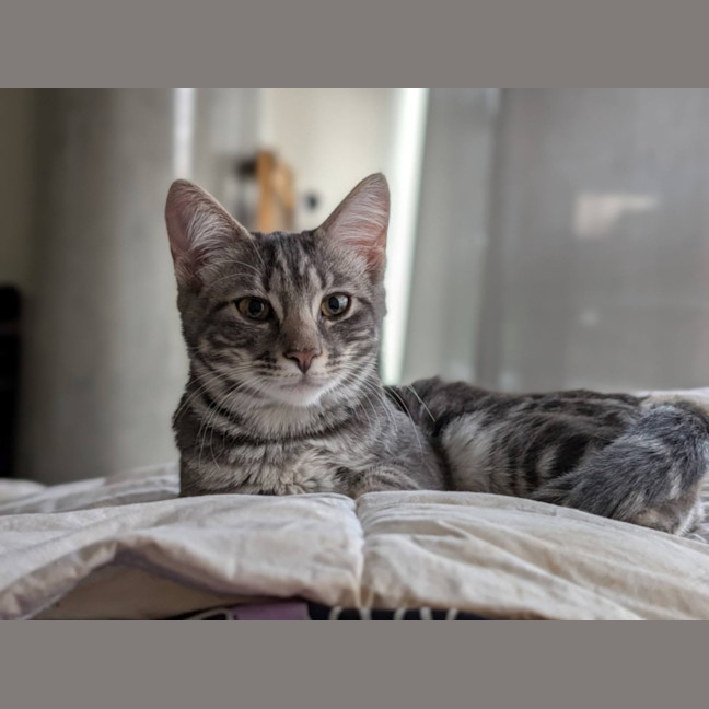 Photo of Ash