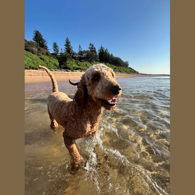 Photo of Molly