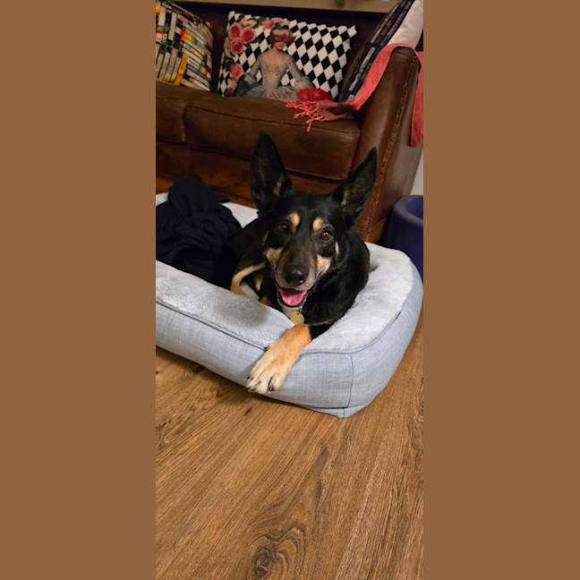 Photo of Bueno