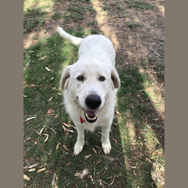 Photo of Lucy