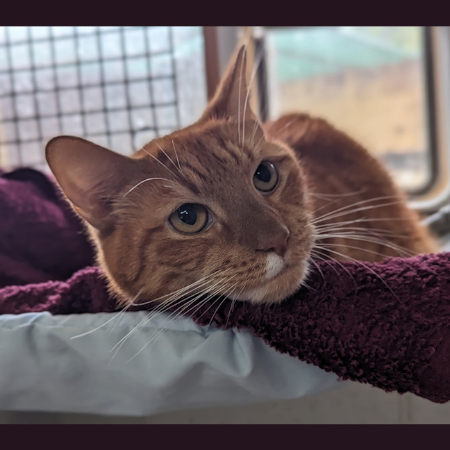 Photo of Charlie