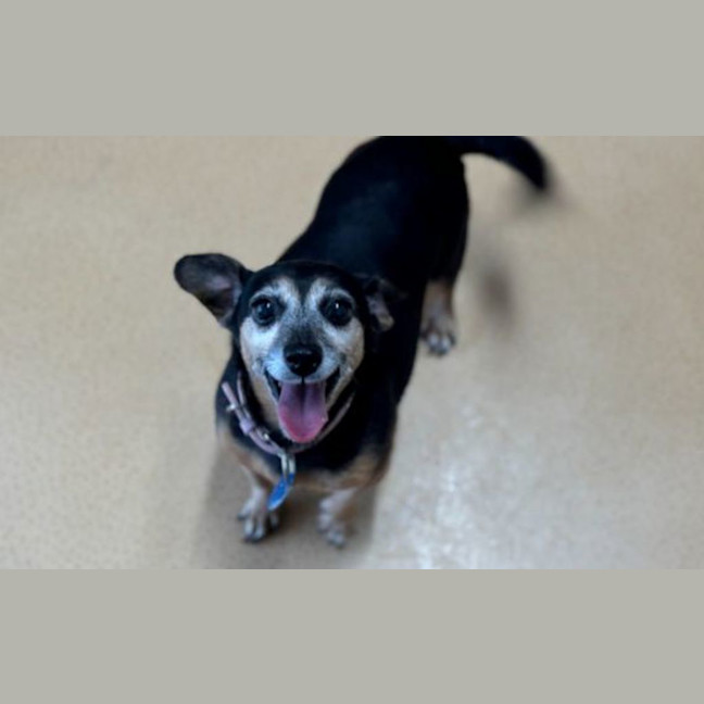 Photo of Lilly