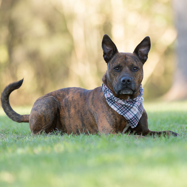 Photo of Hamish