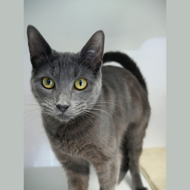 Photo of Natasha Rstk013340