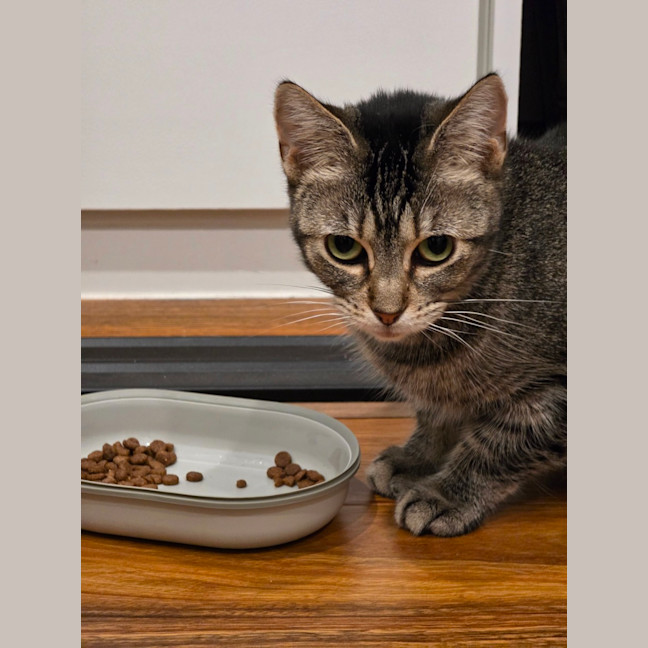 Photo of Jasmine