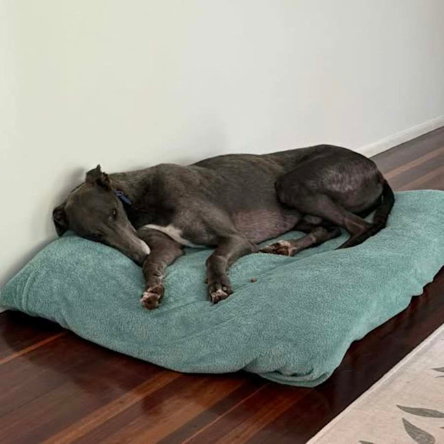 Photo of Blue