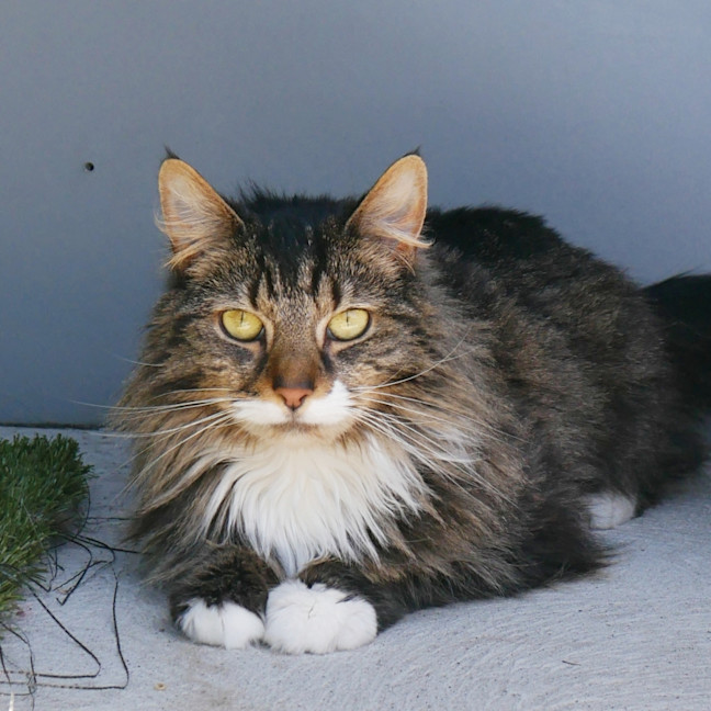 Photo of Milo Sta013954