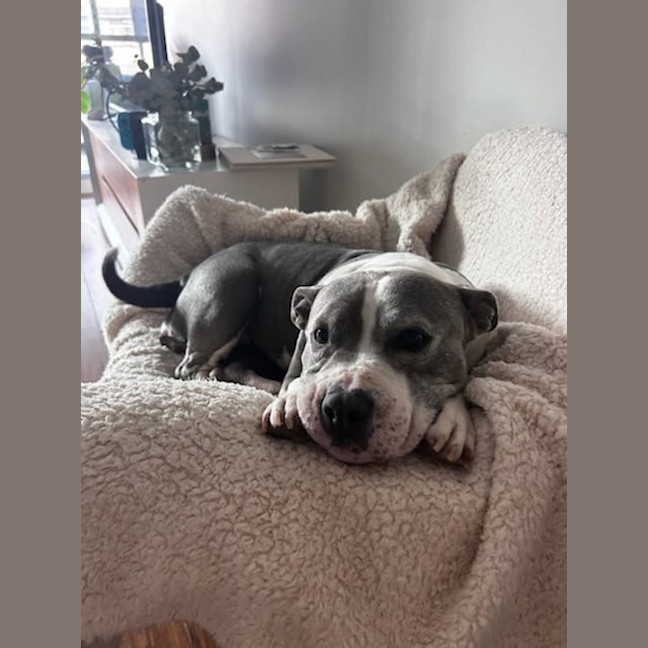 Photo of Dakota