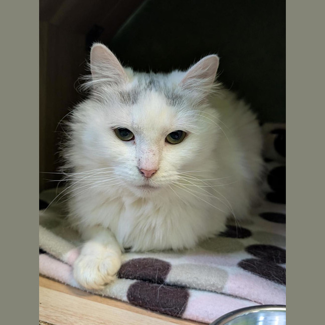 Photo of Breeze