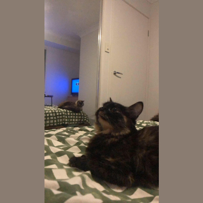 Photo of Annie 