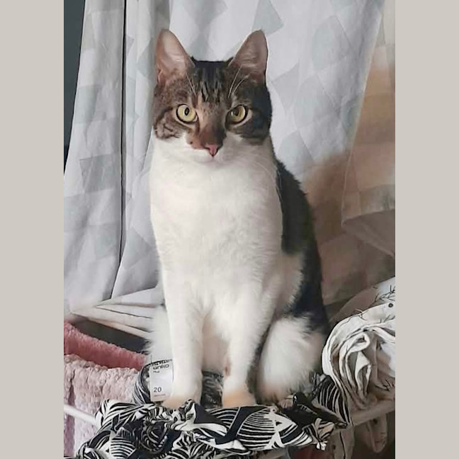 Photo of Christopher 
