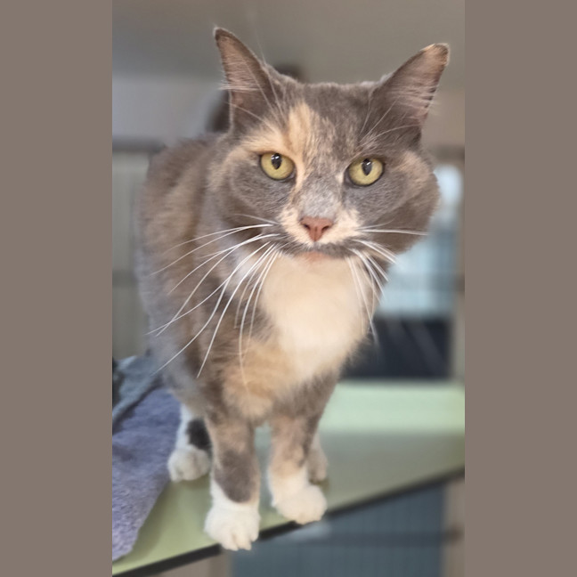 Photo of Rosie