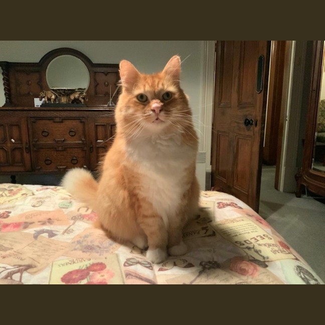 Photo of Griffin Nightingale