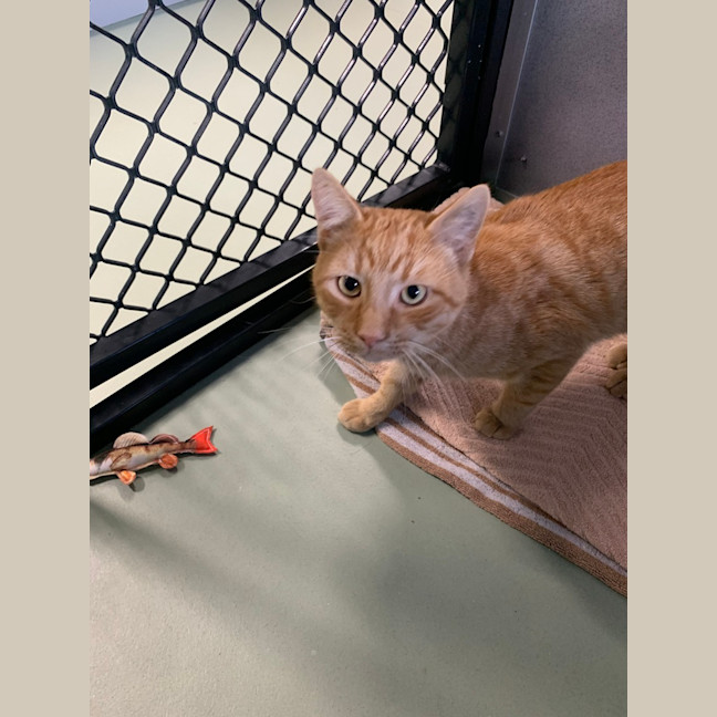 Photo of Fergus