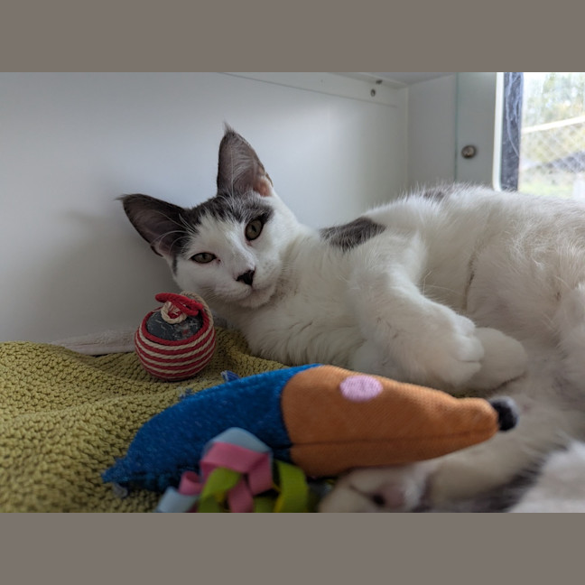 Photo of Sooty