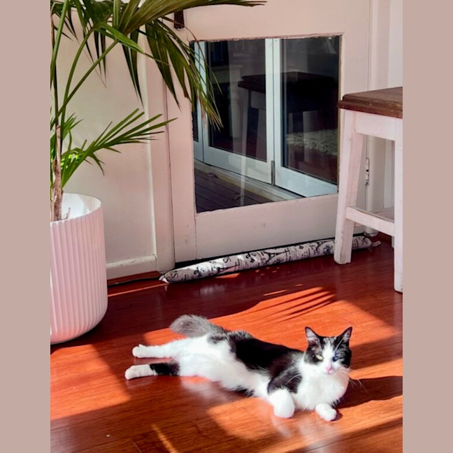 Photo of Suzie