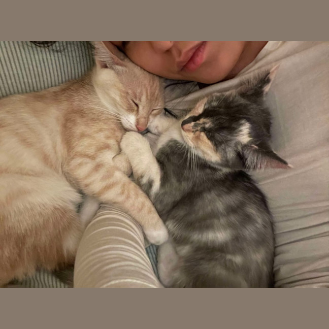 Photo of Stella & Stanley 