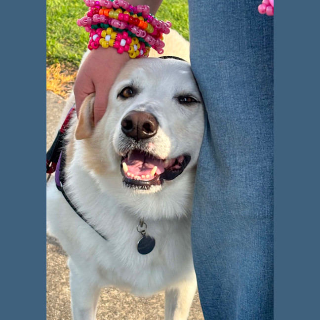 Photo of 💝Koko💝