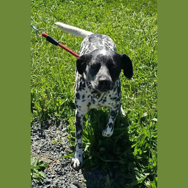 Photo of Zena