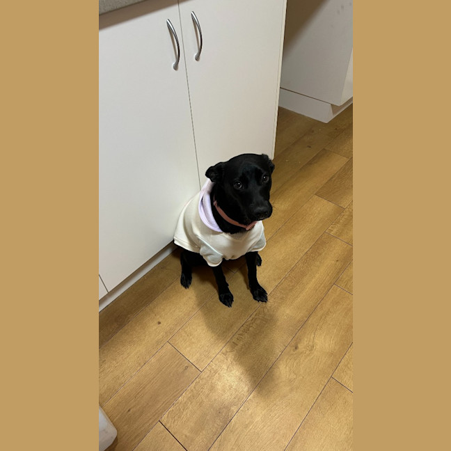 Photo of Felice (Astrid)