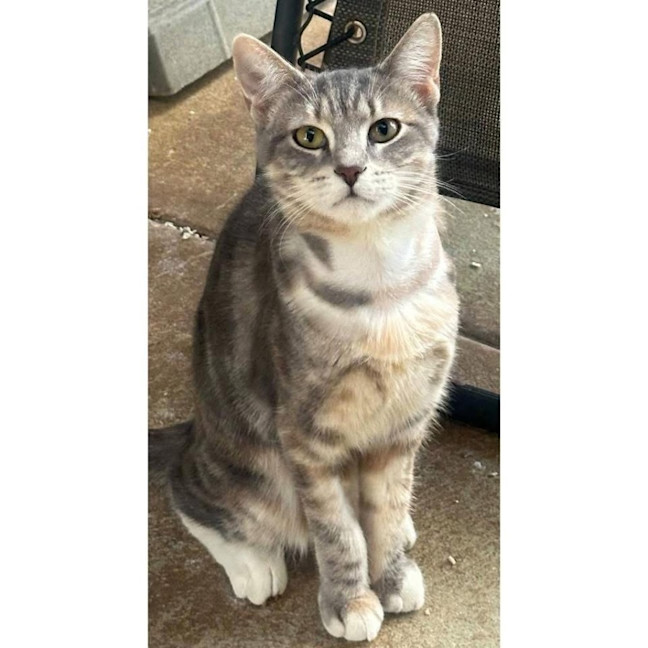 Photo of 11851   Laa Laa