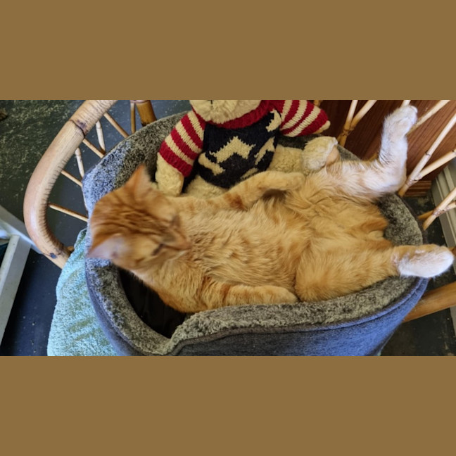 Photo of Toby And Logan 