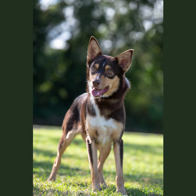 Photo of Ruby