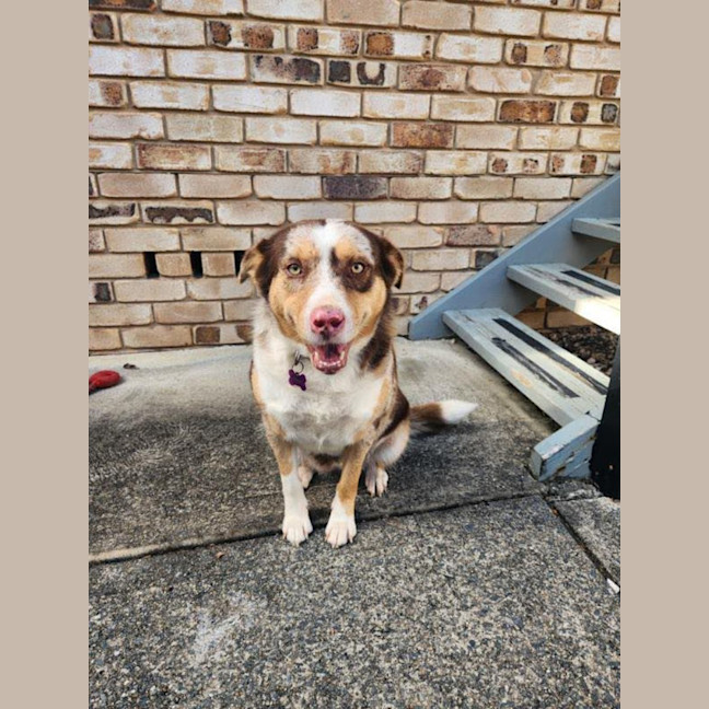 Photo of Bella