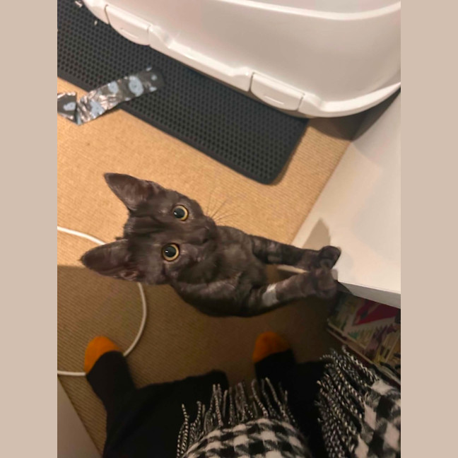 Photo of Velma