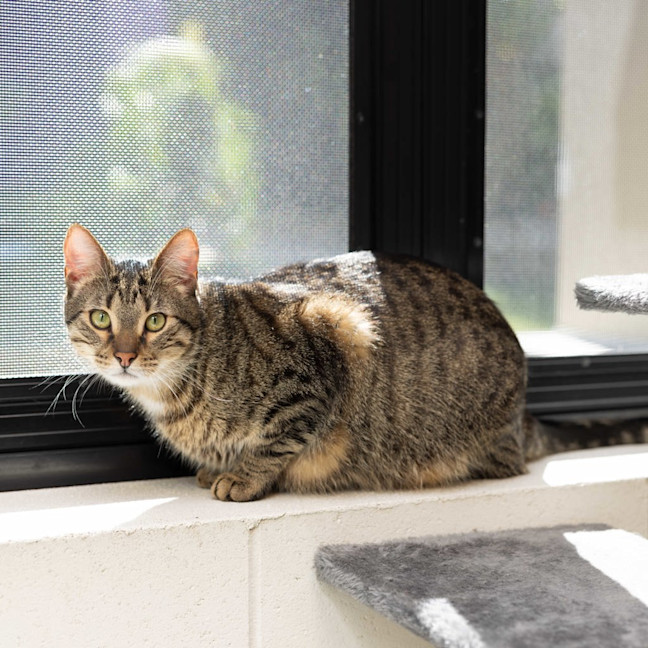 Photo of Teddy