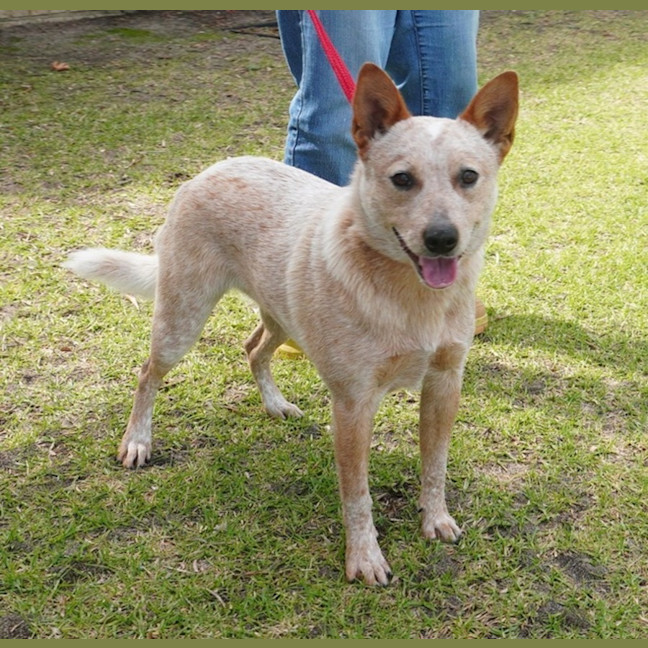Photo of Ember