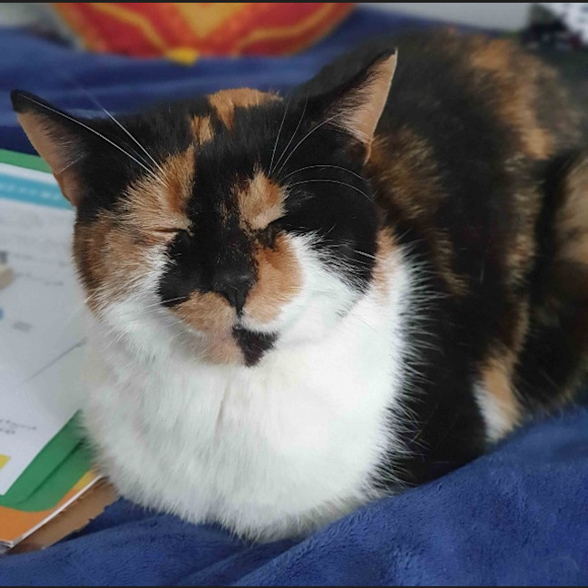 Photo of Queen Mimmi