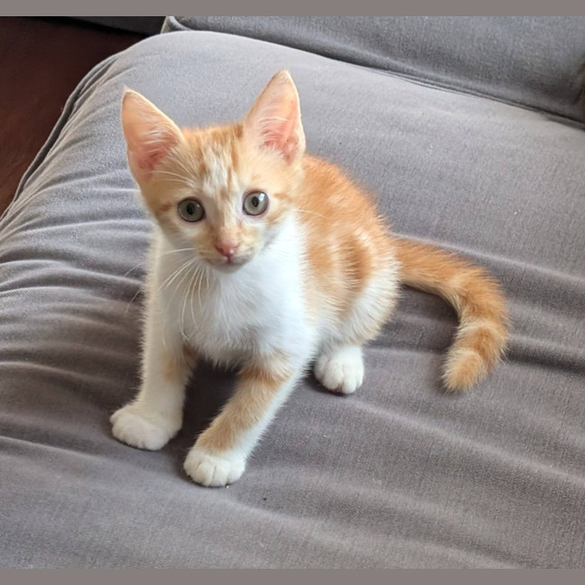 Photo of Sandy