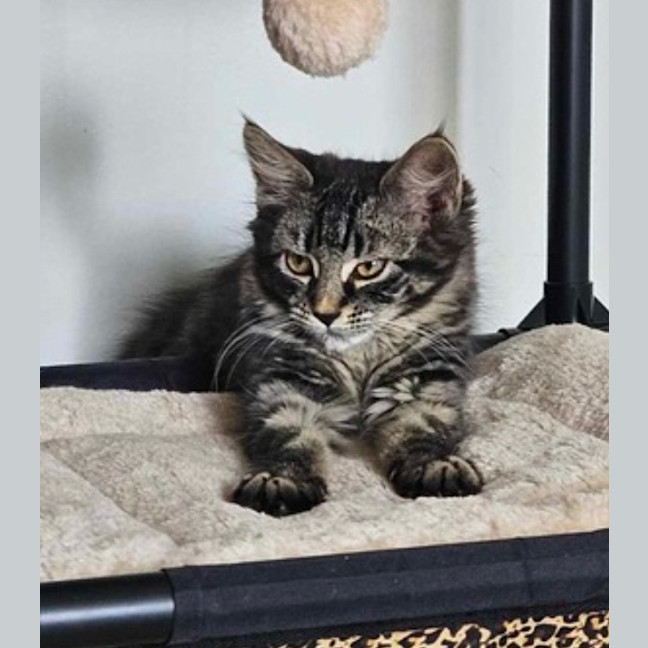 Photo of Mia