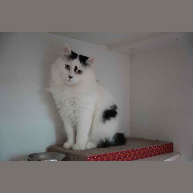Photo of Timmy