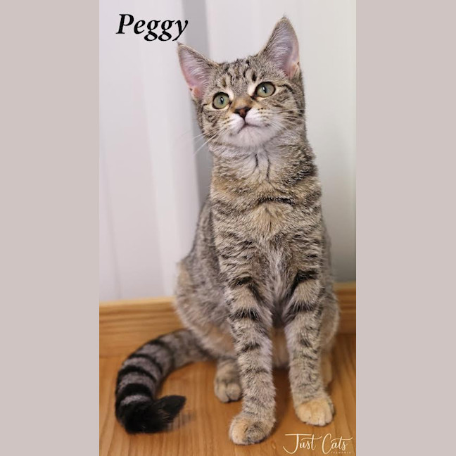 Photo of Peggy   Burnie