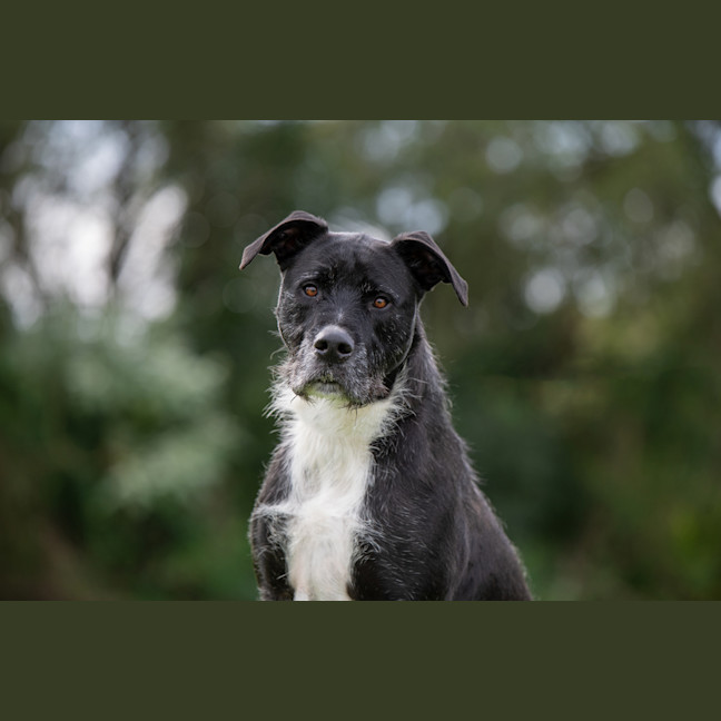 Photo of Snoop