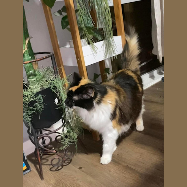 Photo of Dolly Purrton