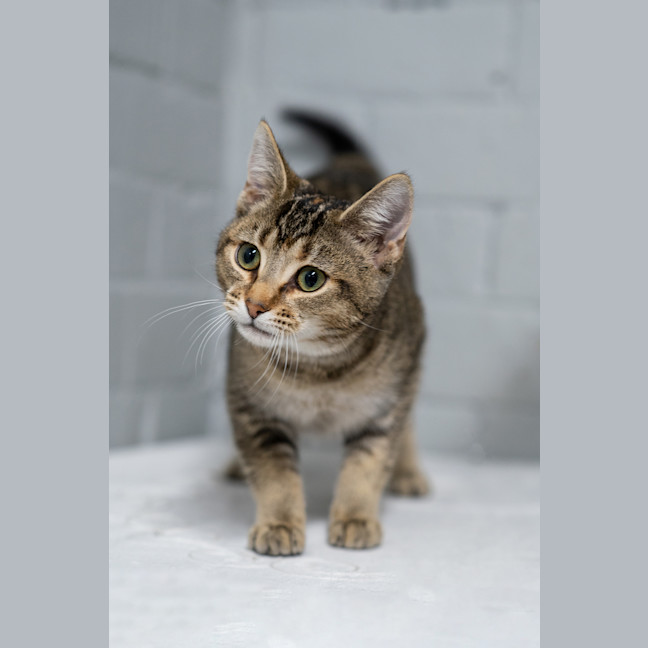 Photo of Sandy