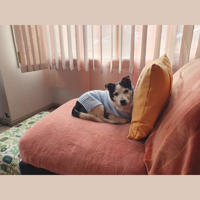 Photo of Laurie Jablonski